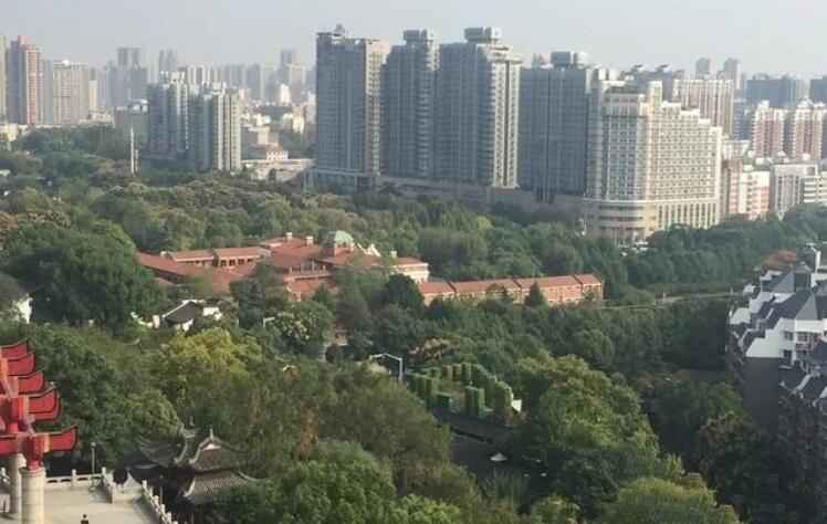 QQ截圖20200413170128.jpg